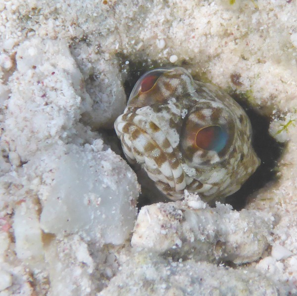 P1020207