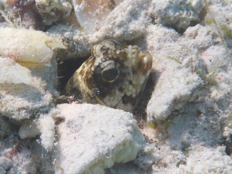P1020218