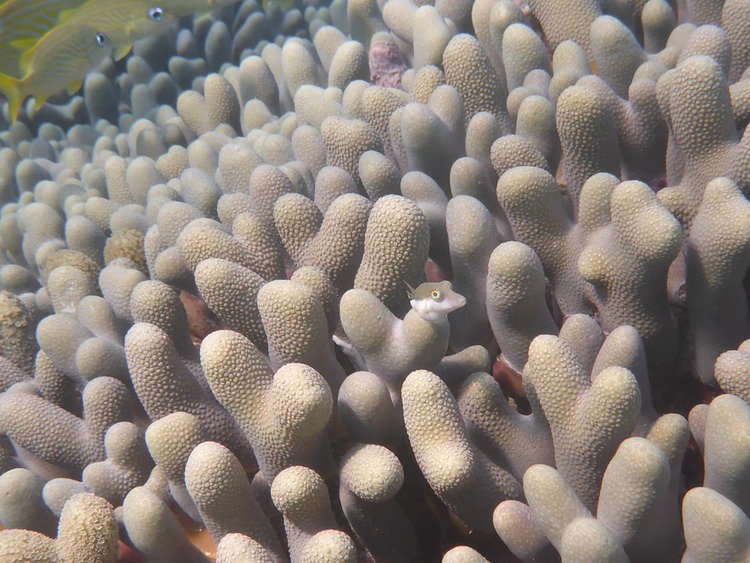 P1020228