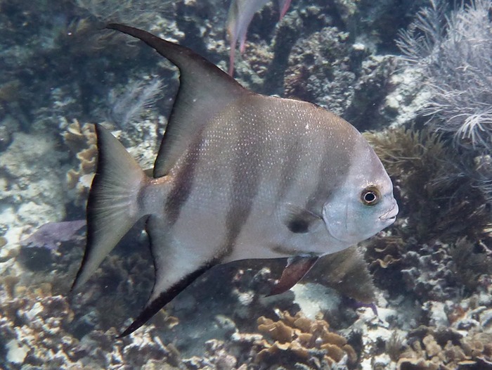 P1020247