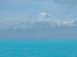 P1020334