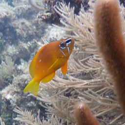 P1020370