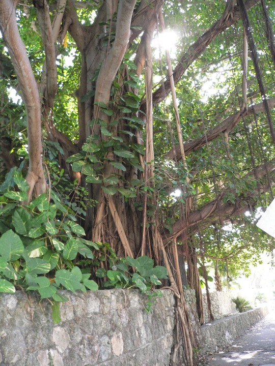 P1020437