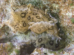 P1020483
