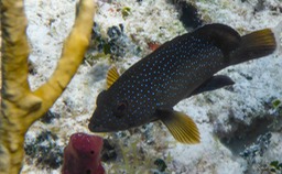 P1020490