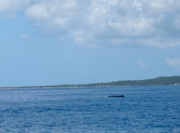 P1020671