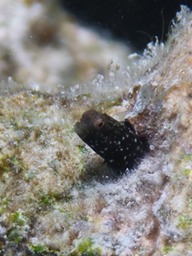 P1020689