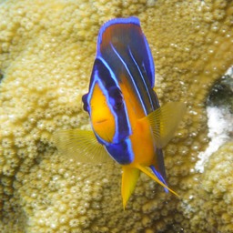 P1020753