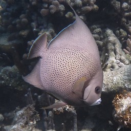 P1020756b