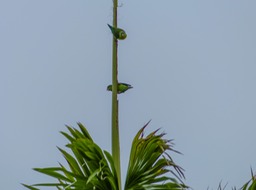 P1020914