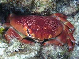 P1020970