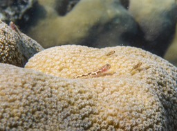 P1030123