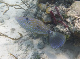 P1030168