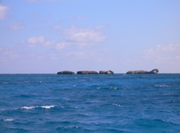 P1030173