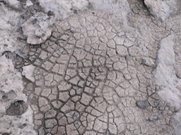 P1030179