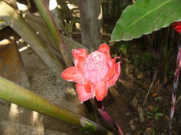 P1030247