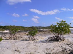 P1030311