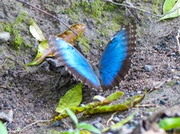 P1030352