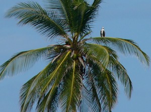 P1030505