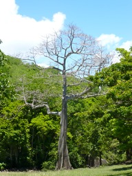 P1030540