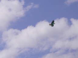 P1030797