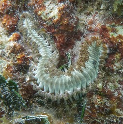 P1040136