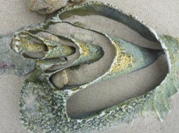 P1040151
