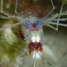 P1040437
