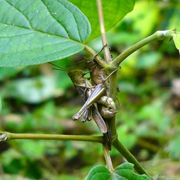 P1040866