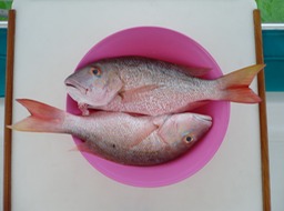 P1050128