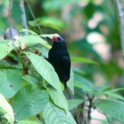 P1050171