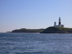 P1050314