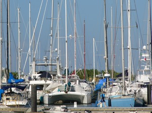 P1050459