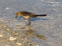 P1050465