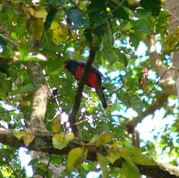 P1050598