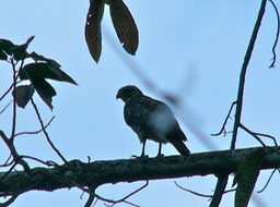 P1050671