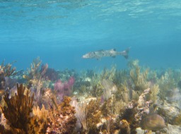 P1050694