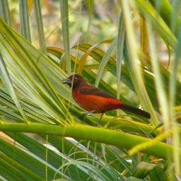 P1050753