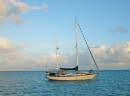 P1060107