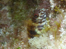P1070027