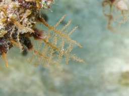P1070048