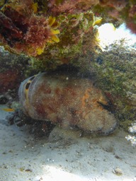 P1070226