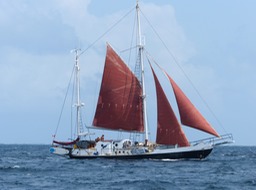 P1070229