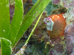 P1070633