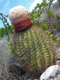 P1080262