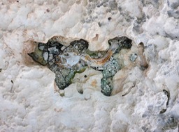 P1090111