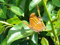 P1090312