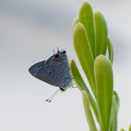 P1110374
