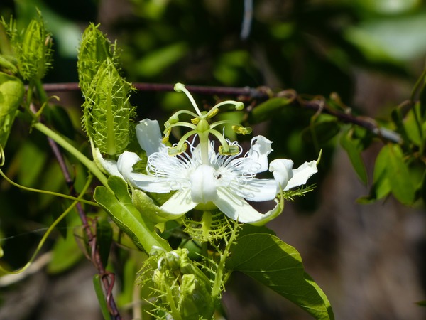 P1110497