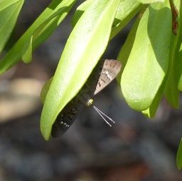P1110565